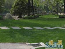 紫都上海晶园 4室4厅 南