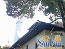 王宏杰无抗奶过来安福路