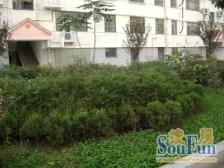 馨良苑 2室2厅1卫 南