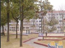 三房两厅两卫+大三房+好楼层+采光好