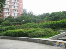 上河新城 2室2厅 南 北