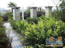 南桥视窗 2室1厅 西北