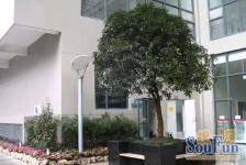 南桥视窗 1室1厅 东南