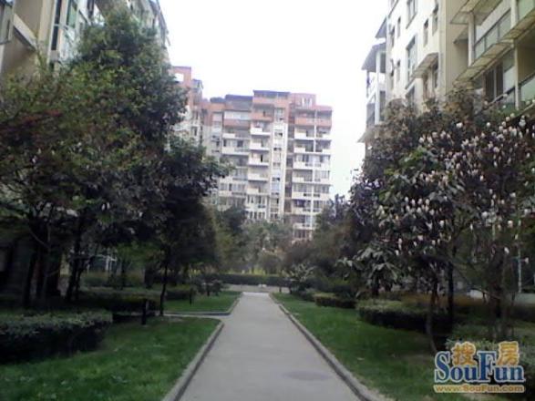 南馨园实景图