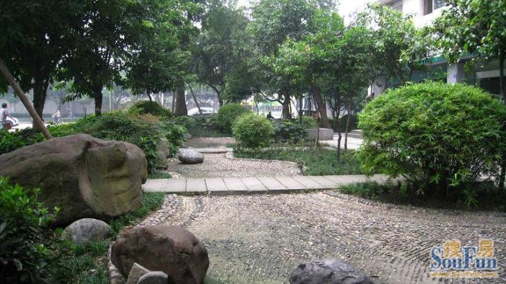 望江东竹苑实景图