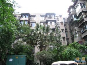 双桥路171号院3室1厅东