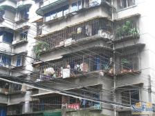 双桥路南二街2室1厅东南西北
