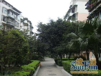 天鑫花园东区实景图