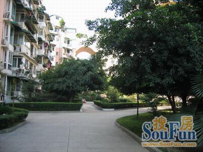 天鑫花园东区实景图