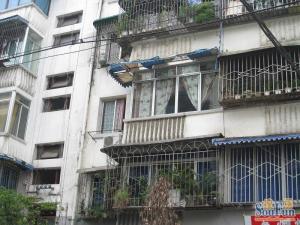 水碾河南三街41号2室0厅东