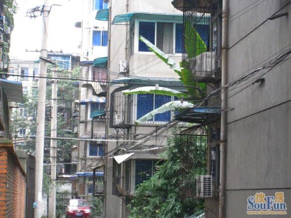 水碾河南一街社区实景图