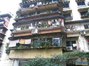 怡心园 3室1厅 北