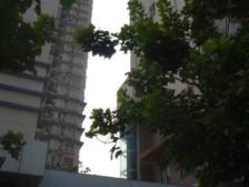 南坪商圈轻轨电梯一室一厅,视野开阔,配套完善。