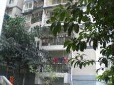 四公里 静丹苑三房65万