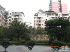 环线南湖 十号线 双轻轨 精装三房 业主急售