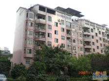 南坪商圈 双轻轨旁三房 视野采光好 距离怡丰校近