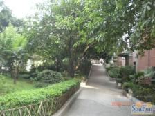 大3房+大阳台 双轻轨 装修保持的好 领包入住