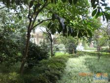 双轻轨3房,业主诚心出售,价格适宜