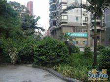 南坪商圈清水房,户型好,业主诚心出售