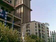 一室一厅 平街上4楼,采光好,合适刚需人群居住