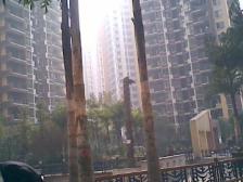 精装修,楼梯房3楼,正规两房,采光充足,户型方正