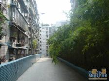 响水路 宁静小区(响水路)三房60万