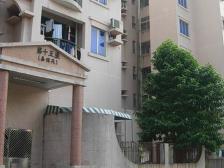 房子满五比唯一,步梯公摊面积小,均价低,首付低。