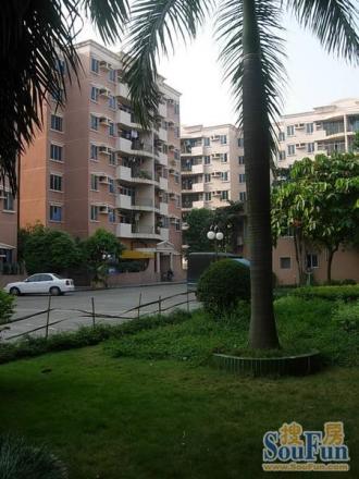 寮步嘉湖山庄 精装小三房 满五无税 家私电齐全 有钥匙 拧包入住