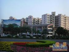 中间楼层 采光好 小区中间位置安静