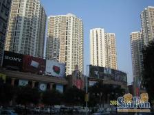 人民公园旁 东湖花园 两房两厅 朝南采光通风视野好