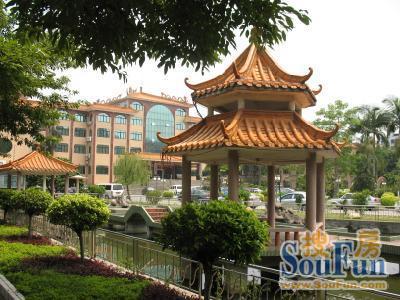 荔城大道小区实景图
