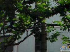 店长老房东,房源信息全程把控,一切只为成交