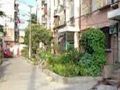 近一号线+西边套+南北两室+全明户型+天井已搭