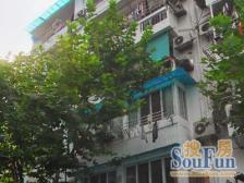 烫金地段,百年梧桐树下,全明东边套采光充足