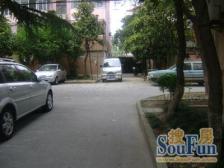 简约风装修 有个小庭院 喝茶乘凉 烧烤十分惬意