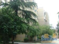 卫生间大 房间大 中间位置 价格可以沟通 看房方便