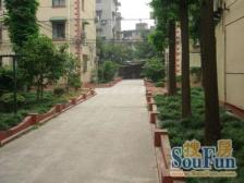 【育秀四区】| 上海市奉贤区金汇镇四美小区10号202室