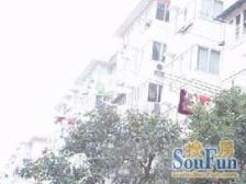 现浇房,次顶楼,采光良好,视野开阔,提前约可看