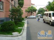 民星苑 3室1厅 南 北