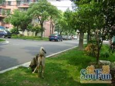 民星苑 2室1厅 南