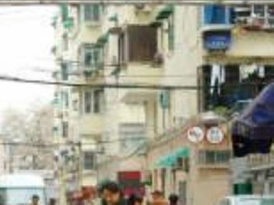 阳曲路555弄小区实景图