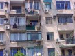 阳曲路555弄小区实景图
