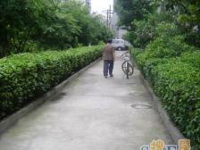 斜土路大木桥·肇嘉浜路669弄·1室·0厅