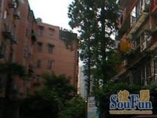 中华东波小区 3室2厅 南