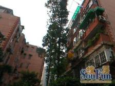 近地铁 现场实勘 无抵押,电梯房,新上房源