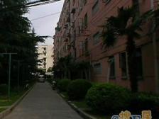 双优护航:梅溪小学 + 大同中学双保险