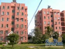 双优护航:梅溪小学 + 大同中学双保险