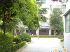 紫苑小区 1室1厅 南