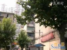 蓬莱公园 · 市民新村(黄浦) · 1室 · 1厅