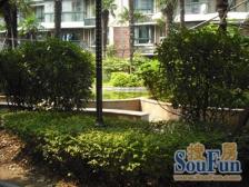 铭晖,商品房复试,3室2厅2卫,小区中间位置,采光好